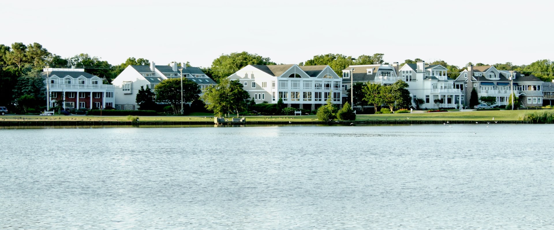 The Vibrant Local Business Scene in Conroe, TX