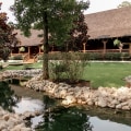 The Vibrant Events Scene for Seniors in Conroe, TX