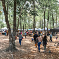 Experience the Best of Conroe, TX: A Guide to Upcoming Events