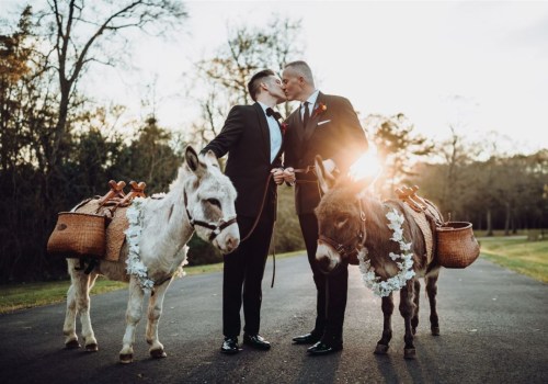 The Ultimate Guide to Bringing Your Pet to Events in Conroe, TX